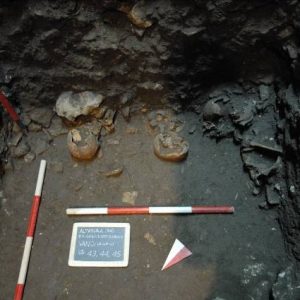 lavoriAltamura03_full